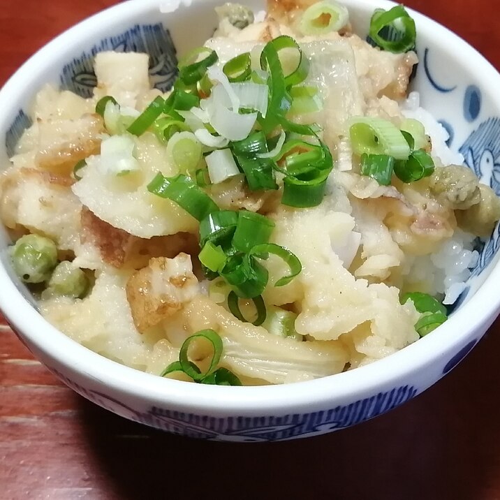 残り物でかき揚げ丼